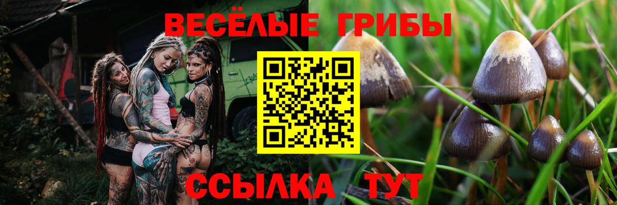 Галлюциногенные грибы Magic Shrooms Нижневартовск